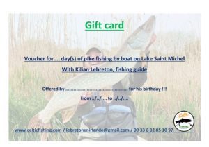 Pile fishing gift card